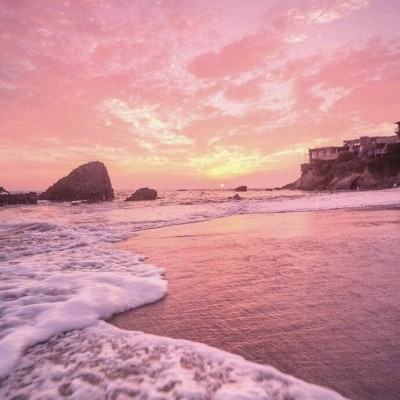 BSportAPP在线登录