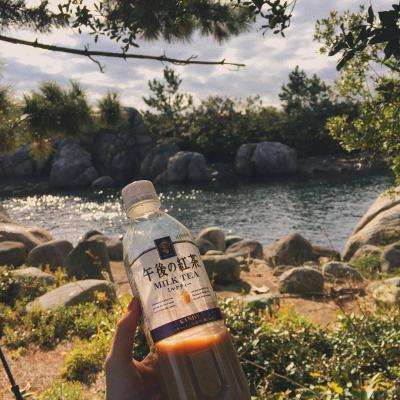 4949澳门免费资料大全