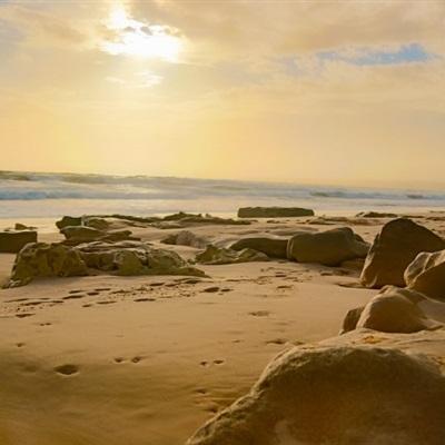 金沙官方版下载