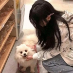 半岛手机网页版登录